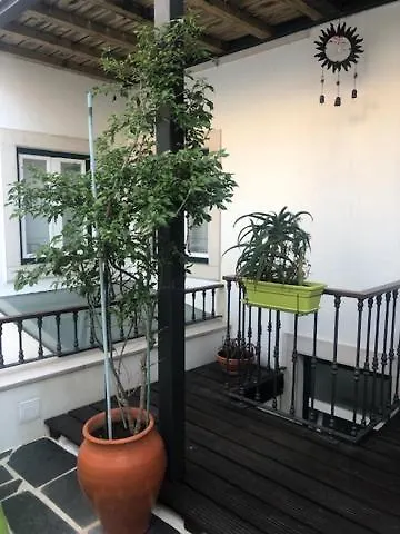 Courtyard House - Sun, Barbecue,