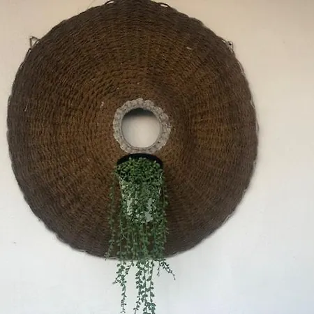 Courtyard House - Sun, Barbecue,