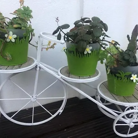 Courtyard House - Sun, Barbecue, Sesimbra