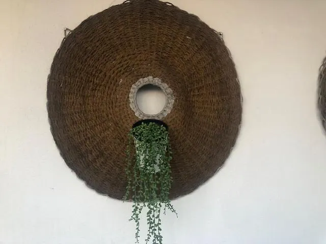 Courtyard House - Sun, Barbecue,