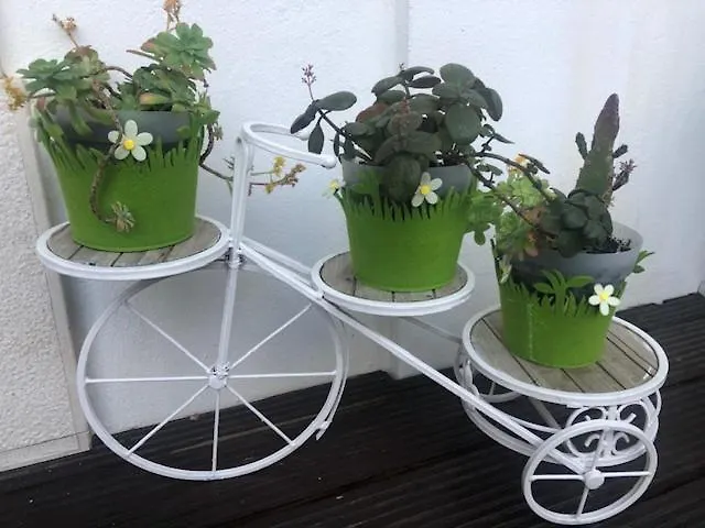 Courtyard House - Sun, Barbecue, 塞辛布拉